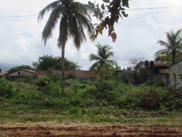 #005 - Terreno para Venda em Nova Viçosa - BA