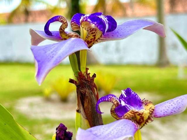 Pousada para Venda em Nova Viçosa - 5